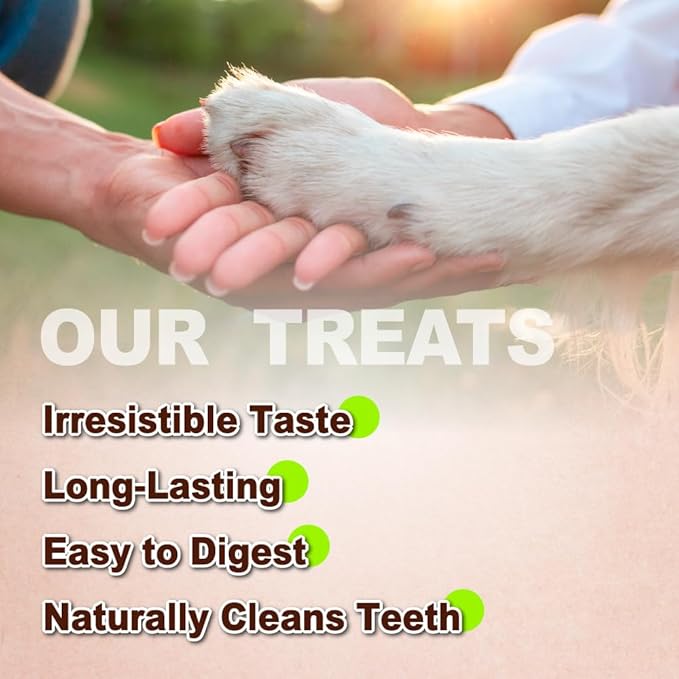 A Freschi srl Turkey Tendons for Dogs, USA-Sourced, Healthy Dog Treats, Rawhide-Free Puppy Chews, Long Lasting, All Natural, Hypoallergenic Dog Treats for Small Breeds, 6 Count Pack Ring (S)