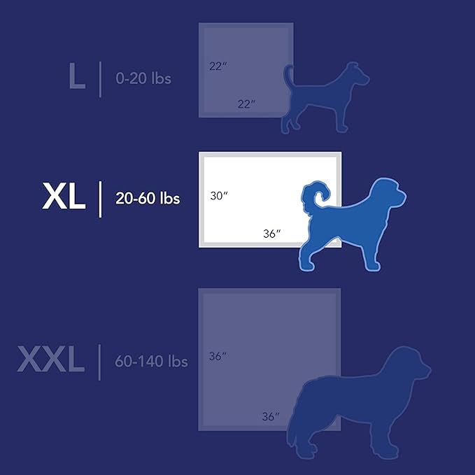 Scott Pet Guard Dog Pads - Dog Training Pee Pads for Puppies, Medium & Large Dogs - Up to 12 Hour Absorbent Odor Control - Easily Disposable Pee Pads - Size XL - 30" x 36" - 40 Pack