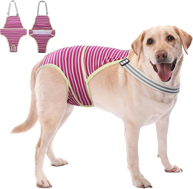 Dog Diapers Female,Female Dog Diapers for Heat Large Dogs, Washable Onesie Sanitary Pantie with Adjustable Suspender Washable, Reusable Period Panties Doggie Diaper, M