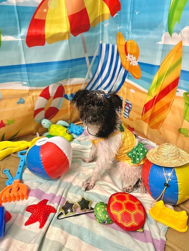 Funny Dog Swimwear Bikini Summer Dog Clothes Beach Swimsuit Puppy Bathing Suit Puppy Vest Cooling Pet Shirt for Small Dogs, Cat Apparel (Large, Yellow Pineapple)