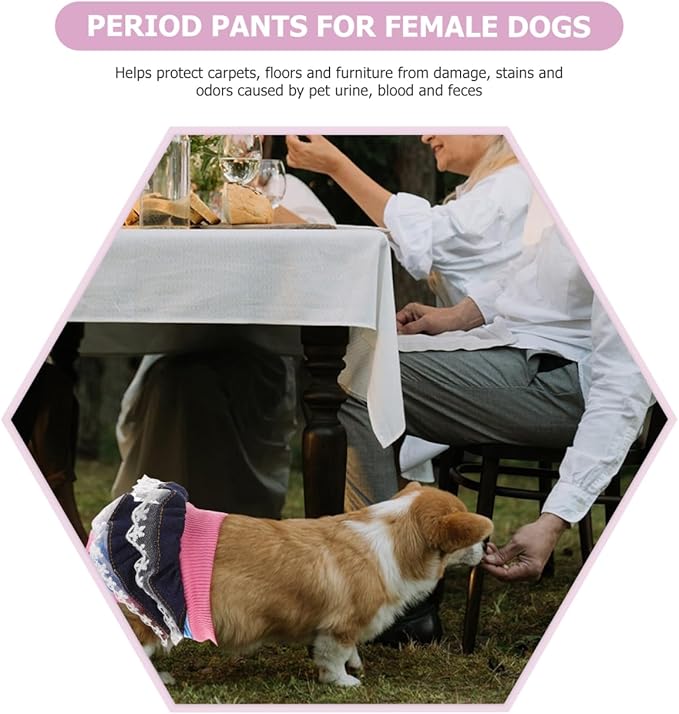 Washable Female Dog Diaper Comfortable Pet Physiological Pants for Heat Cycle Incontinence Puppy Training Medium 6.69X9.44In