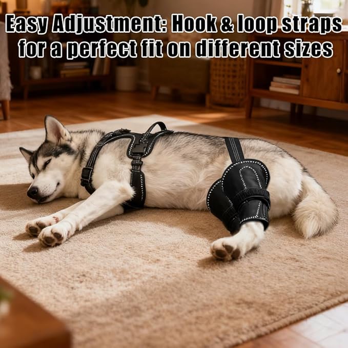 Vivifying Dog Hip & Leg Support Harness for Mobility Assistance, Adjustable Rear Leg Brace with Lift Handle for Injured or Senior Dogs, Joint Stabilizing Hind Leg Support for Walking, Recovery (M)