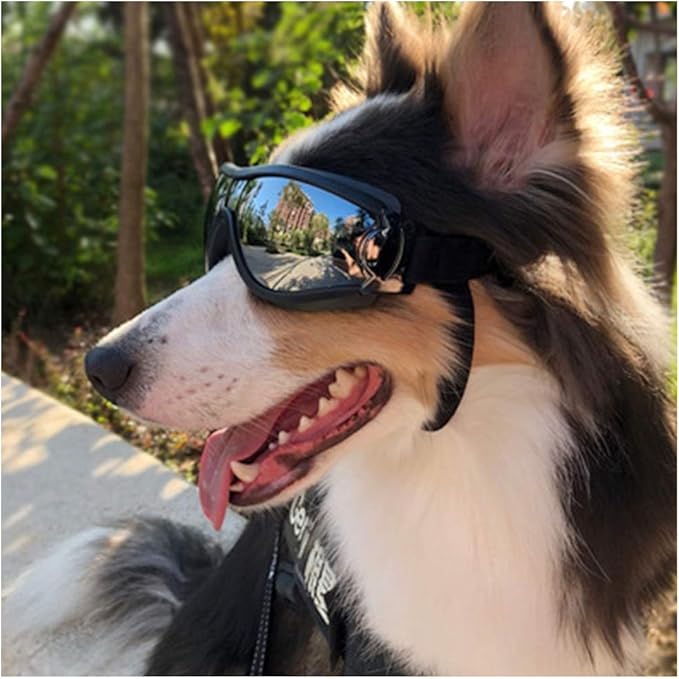 NACOCO Pet Anti-UV Glasses Dog Sunglasses Waterproof Dog Glasses Golden Retriever Samoyed Sunglasses Goggles Big Dog Sunglasses (ski)