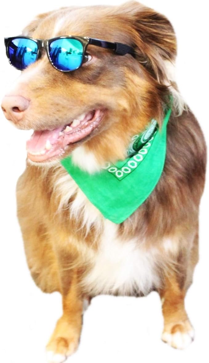 G006 Dog Pet 80s Costume Sunglasses Prop Photoshoot Medium Breeds 20-40 lbs (2-Pack Black+ Black-Emerald Green Mirror)