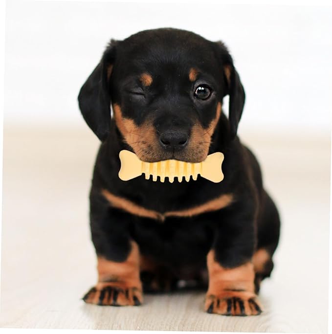 Pet Dog Chew Toy Molar for Dogs Material Puppy Biting Toy Helps Teeth for Playtime and Health