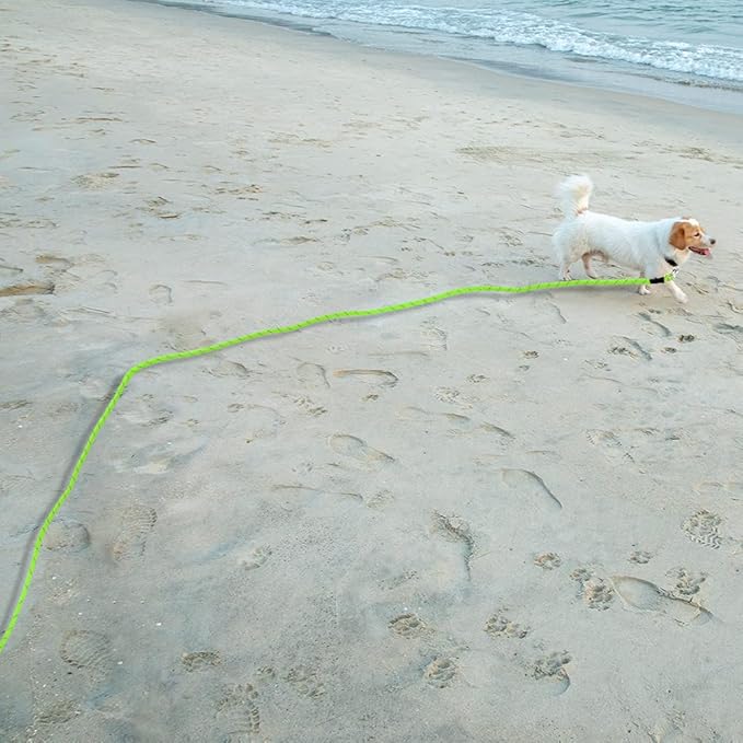 Vivifying Floating Long Dog Leash, 32ft Dog Training Leash for Swimming and Lake, Reflective Long Rope Lead with Soft Handle for Outside, Yard, Camping, Hiking and Beach (Green)