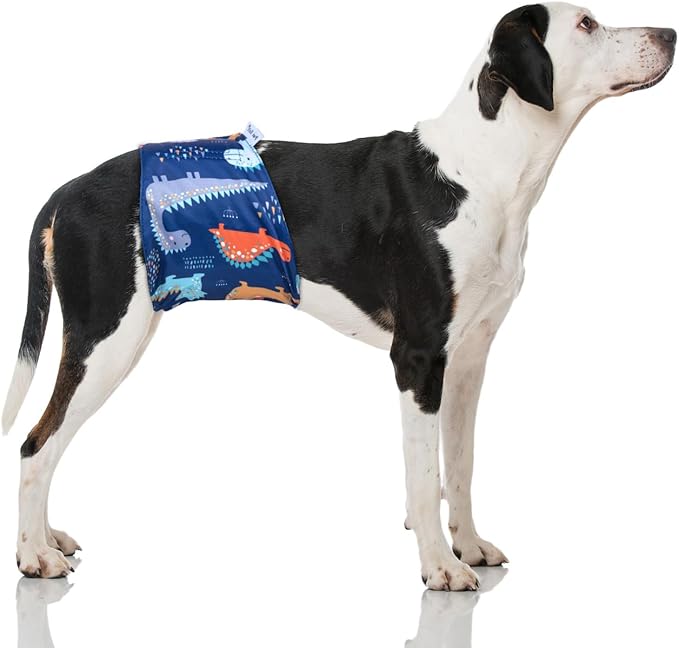 Pet Soft Dog Belly Band - 3 Packs Reusable Dog Diapers Male Doggy Diapers Wraps - Washable Dogs Belly Bands for Male Dogs (Dino, M)