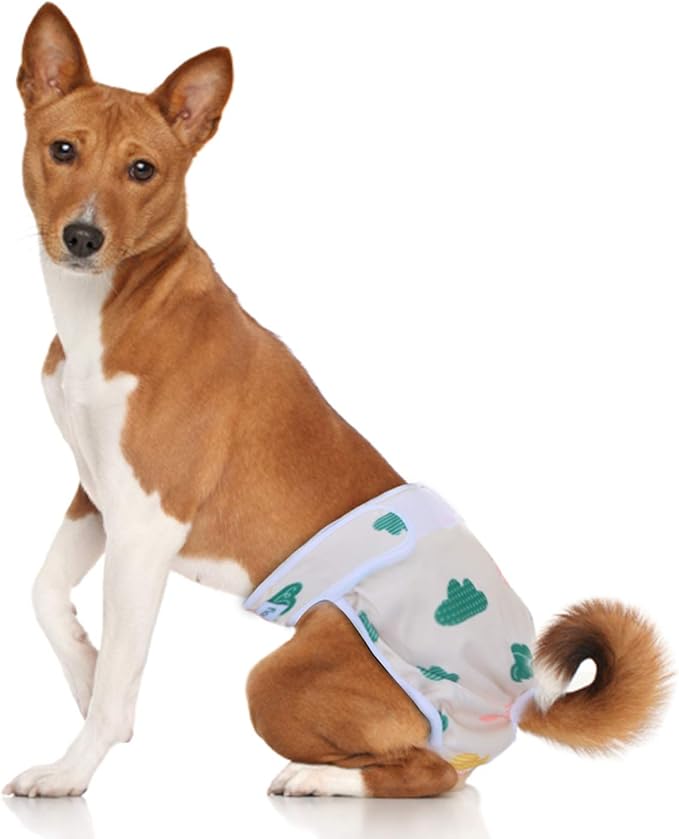 Teamoy Female Dog Diapers for Heat 4-Pack, Reusable Dog Period Diaper Wraps for Incontinence, Training & Housebreaking,M