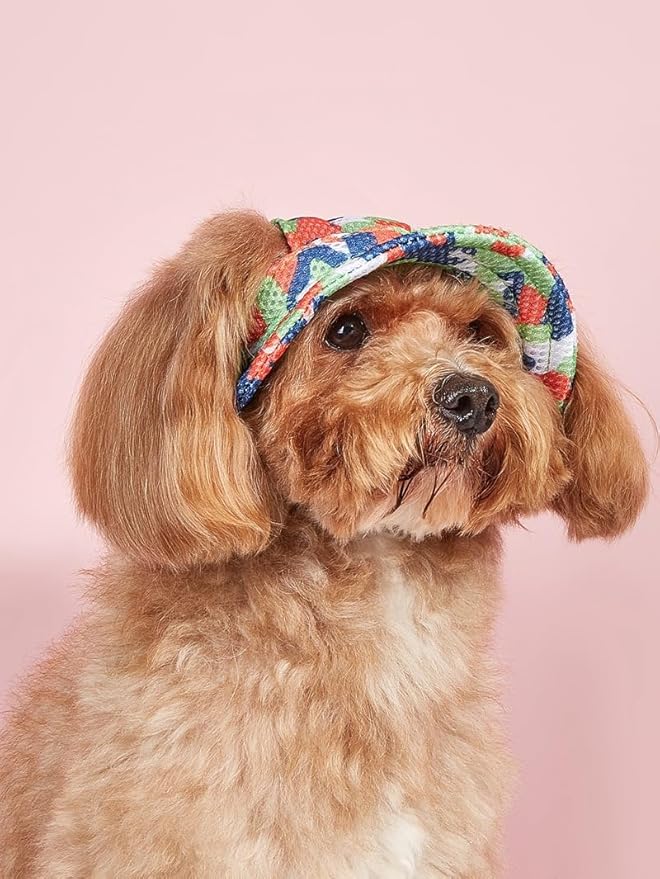 Round Brim Princess Hat Visor Hat Pet Dog Mesh Porous Sun Hat with Ear Holes for Small, Extra Small Dog Teddy, Pug, Chihuahua, Shih Tzu, Yorkshire Terriers, Papillon Z-1-armygreen M
