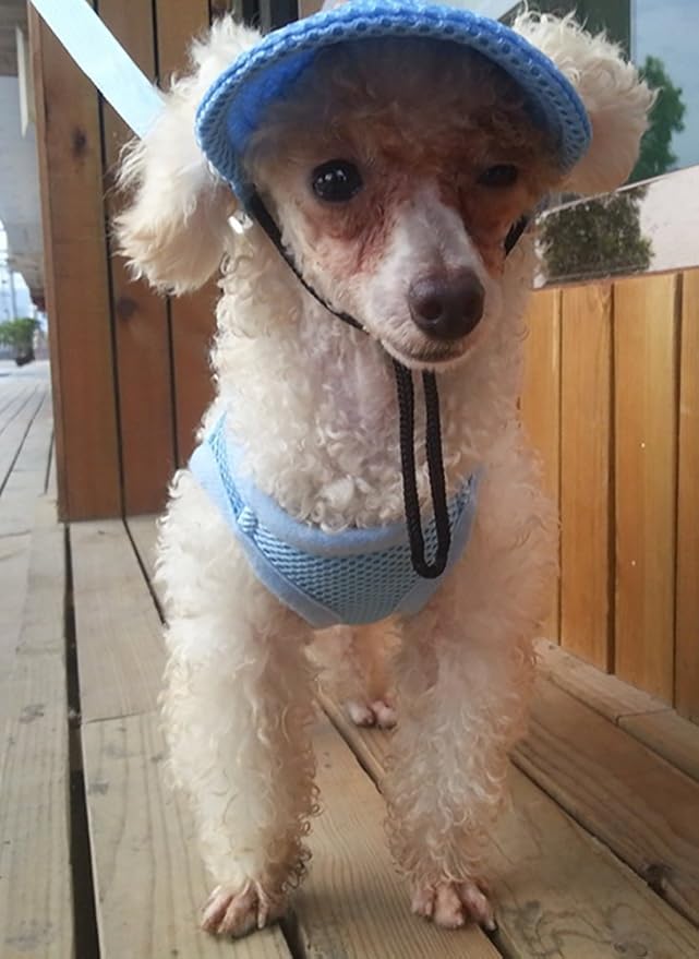 Round Brim Princess Hat Visor Hat Pet Dog Mesh Porous Sun Hat with Ear Holes for Small, Extra Small Dog Teddy, Pug, Chihuahua, Shih Tzu, Yorkshire Terriers, Papillon Blue S