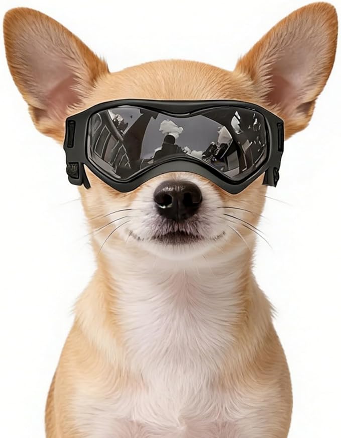 NAMSAN Dog Goggles Small Breeds, UV Protection Dog Glasses for Small Dogs, Puppy Sunglases Windproof Dustproof Driving Eye Protection, Adjustable, Classic Black
