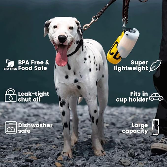 Howgo Dog Water Bottle Portable Travel Water Bottle Dispenser for Dogs, Super Light-Weight, Leak-Proof Bottles for Pets Outdoor Walking, Hiking, Travel,Food Grade Silicone,BPA Free (Mint Green, 21oz)