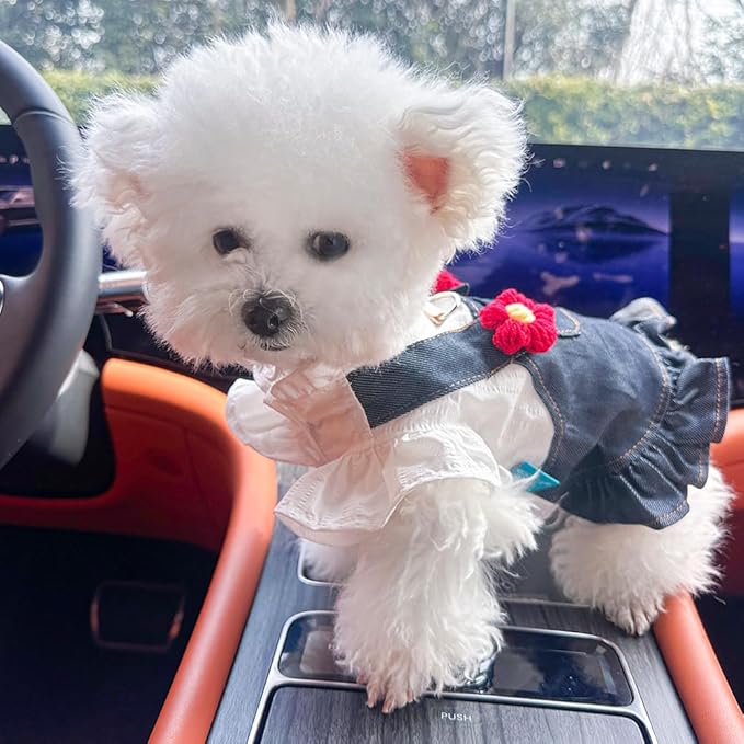 ANIAC Denim Small Puppy Dress 3D Flowers Girl Dog Clothes with D-Ring and Pocket Female Cat Harness Dresses Cute Shih Tzu Yorkies Chihuahua Outfits Summer Pet Clothing (Large)