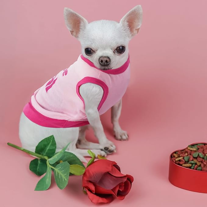 Reginary 8 Pieces Dog Shirts Girl Small Dog Clothes for Chihuahuas Yorkies Female Puppy Shirts Printed Pet Outfit Cute Breathable Soft Valentine's Day Doggie Cat Lovers Gift(Vivid Pattern,Large)