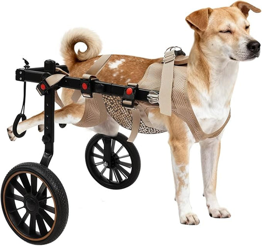 Pet Rehabilitation Walking Aid for Large Dogs, Adjustable 2-Wheel Dog Wheelchair for Back Legs with Breathable Mesh Harness for Senior Disabled Dogs Recovery Support