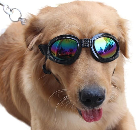 NACOCO Pet Glasses Dog Sunglasses Dog Glasses Golden Retriever Samoyed Sunglasses Goggles Big Dog Sunglasses (Black)