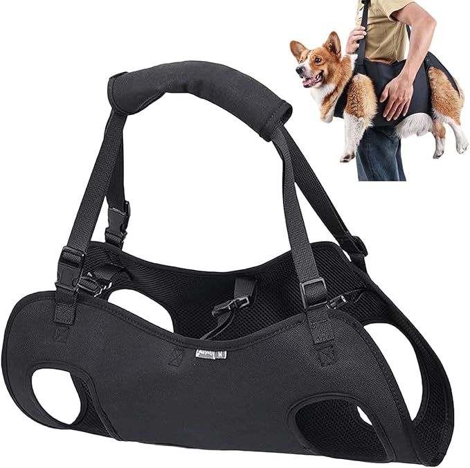 Dog Lift Harness, Full-Body Lifting Dog Harness Vest for Large Dogs, Ideal Mobility Aid for Senior, Injured, Disabled Dogs Needing Front and Rear Leg Support and Lifting Help (M)