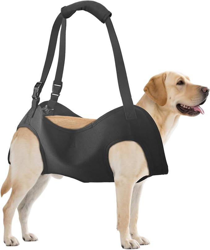 Dog Lift Harness, Full Body Adjustable Support Sling for Front and Back Legs, Mobility Aid for Dogs with Weak Legs, Recovery Needs, or Aging-Related Movement Issues (XL)