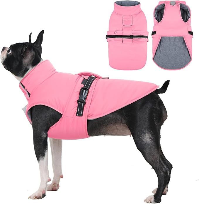 IECOii Coats for Dogs - Reflective Winter Vest Jackets, Adjustable & Windproof Dachshund Jacket for Winter, Fall, and Spring, Waterproof & Cozy Fleece Snow Vest with Easy-On Buckles, Orange, Size M
