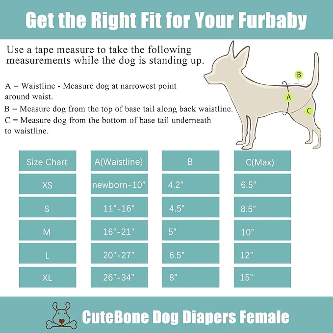 CuteBone Dog Diapers Female 3 Pack Reusable Doggy Diapers with One Suspender for Small Medium Large Dog Period BDD04L