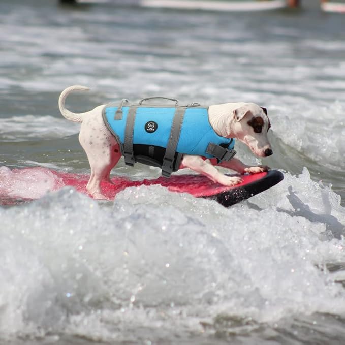 EMUST Dog Life Vests, Adjustable Pet Life Jacket with Rescue Handle, Dog Flotation Vest for Small/Medium/Large Dogs, XS, NewSolidblue
