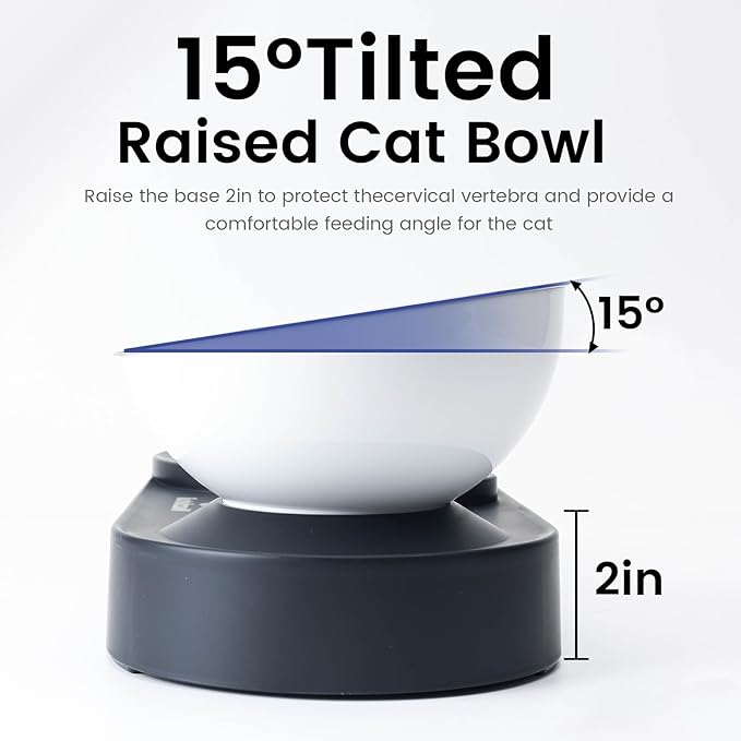 Raised Dog Cat Food Bowl, Cat Food and Water Bowl Set with Water Dispenser, Stainless Steel Bowls and Feeding Mat, Food Feeding Dishes for Indoor Cats and Small Dogs, Black