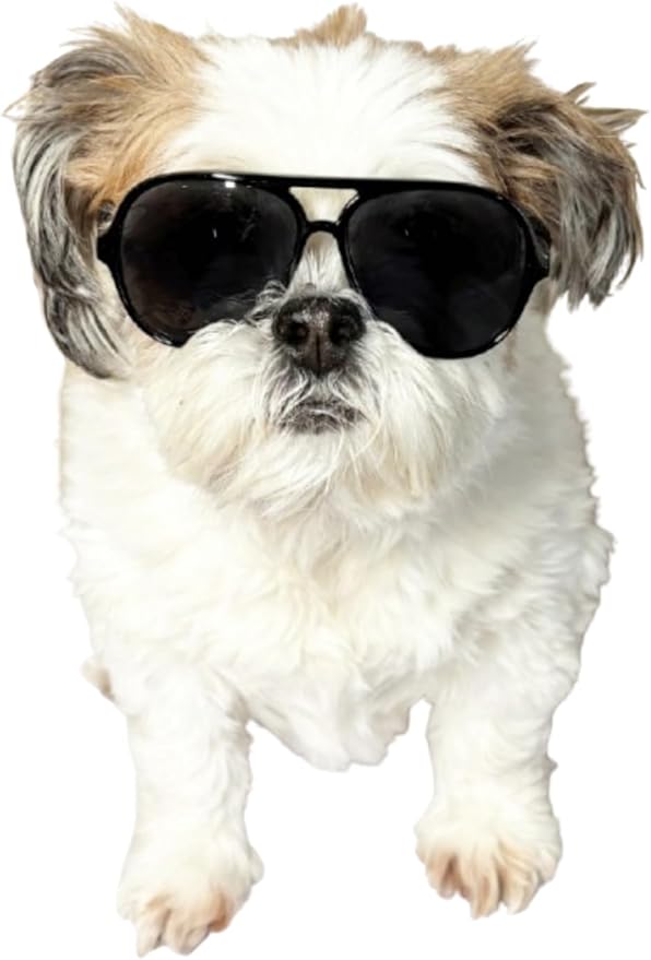G048 Dog Pet Cat Costume Retro Aviator Sunglasses Adjustable for Small-Medium Dogs Approximately 12-30 lbs Party Prop Cosplay Photoshoot (Aviator Black)