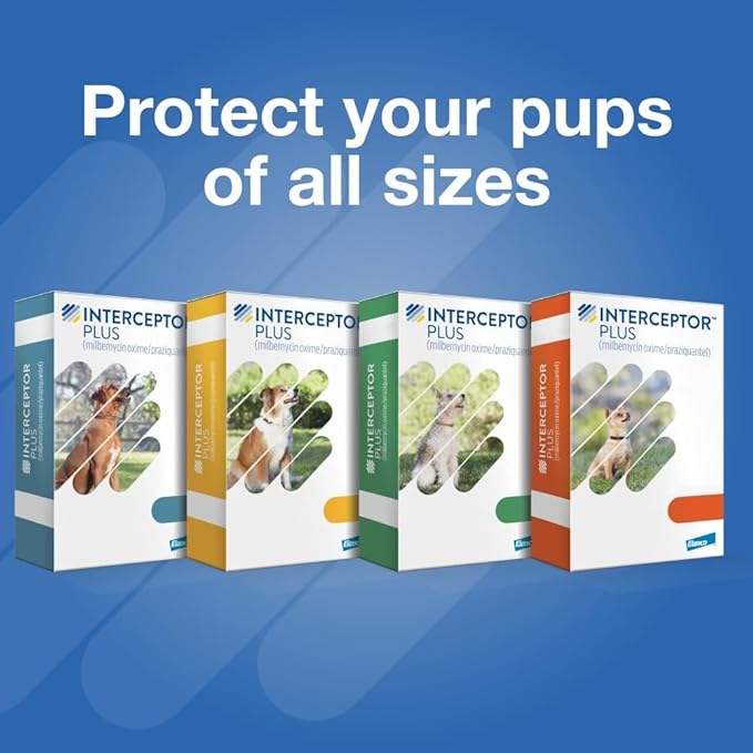 Interceptor Plus Prevention for Heartworm + 4 Other Worms for Dogs 50.1-100 lbs. | 12 Chews, 12-Month Supply
