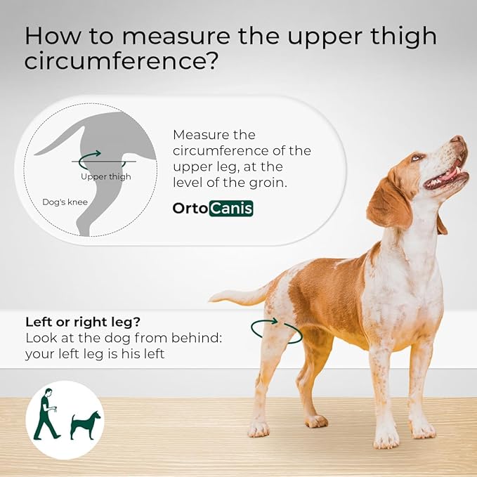 Ortocanis Dog Knee Brace for Hind Leg Support – Flexible Neoprene Knee Brace for Dogs with Joint Instability, Torn ACL, Limping or Osteoarthritis – Comfortable Support for Recovery (X-Mini, Right Leg)