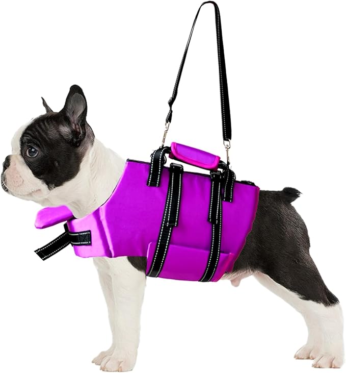 Fragralley Dog Life Jacket with Self-Locking Zipper, High-Buoyancy Ripstop Dog Swimming Vest, Floating Vest with Rescue Handle for Swimming and Boating, PFD Available for Small, Medium, and Large Dogs