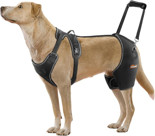 CHAMIN Dog Hip Brace with Back Handheld Design, Support for Hip Dysplasia, Arthritis, Back Leg limping, Reduce Hip Pain & Accelerated Recovery After Surgery etc(Extra Large)