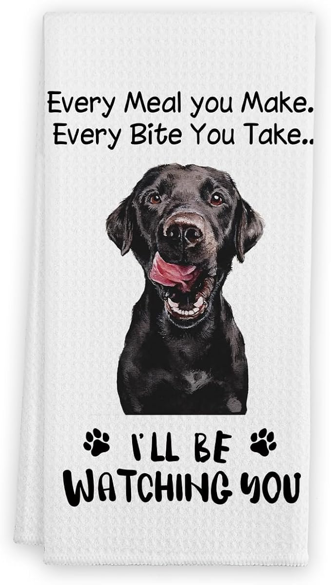 Funny Great Dane Hand Towels for Kitchen, Dog Kitchen Decorative Towels, Dog Lovers Gifts for Women, Every Meal You Make Every Bite You Take Bath Decorations and Accessories, 16x24 Inches