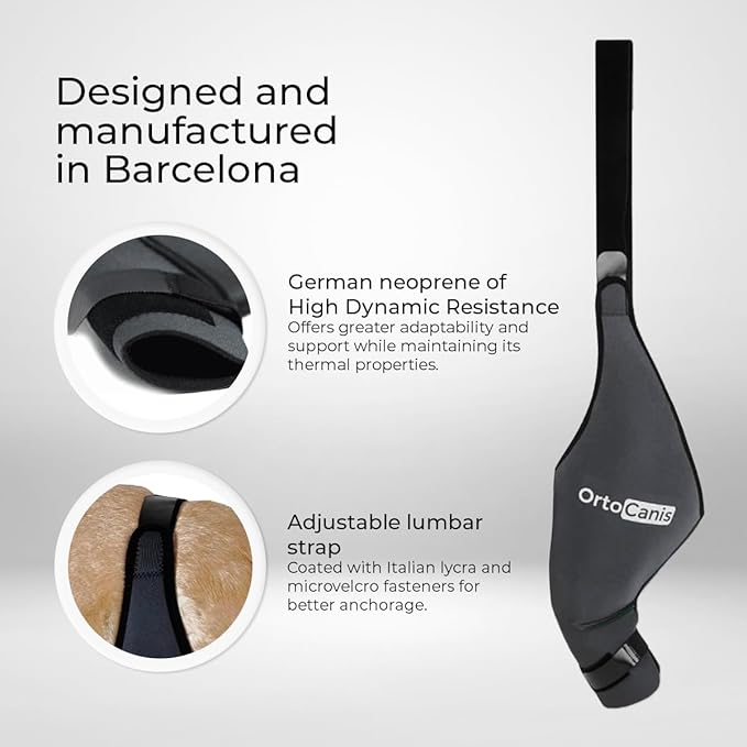 Ortocanis Dog Knee Brace for Hind Leg Support – Flexible Neoprene Knee Brace for Dogs with Joint Instability, Torn ACL, Limping or Osteoarthritis – Comfortable Support for Recovery (X-Mini, Right Leg)
