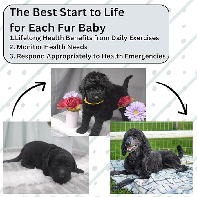 Dog Breeding Supplies and Charts- Puppy Birth Planning, Vaccine Record Book to Track Dewormer for Puppies/Dog Flea Medicine, Bottle Feeding Chart, More Whelping Supplies or Newborn Puppy Essentials