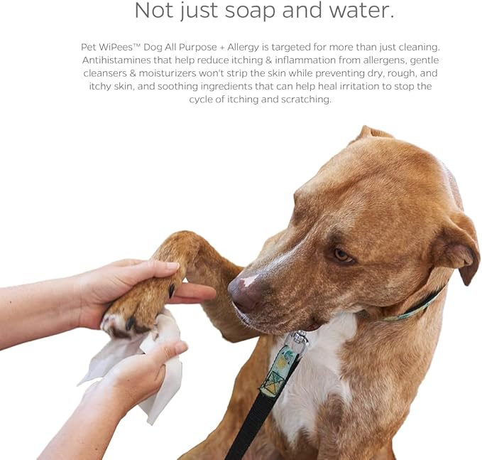 Dog All Purpose + Allergy Pet WiPees™ – 100 Allergy Wipes for Dogs, All Natural Dog Wipes for Paws, Folds & Hot Spots, Daily Pet Wipes for Allergy Relief & Skin Health (Natural, 100ct)