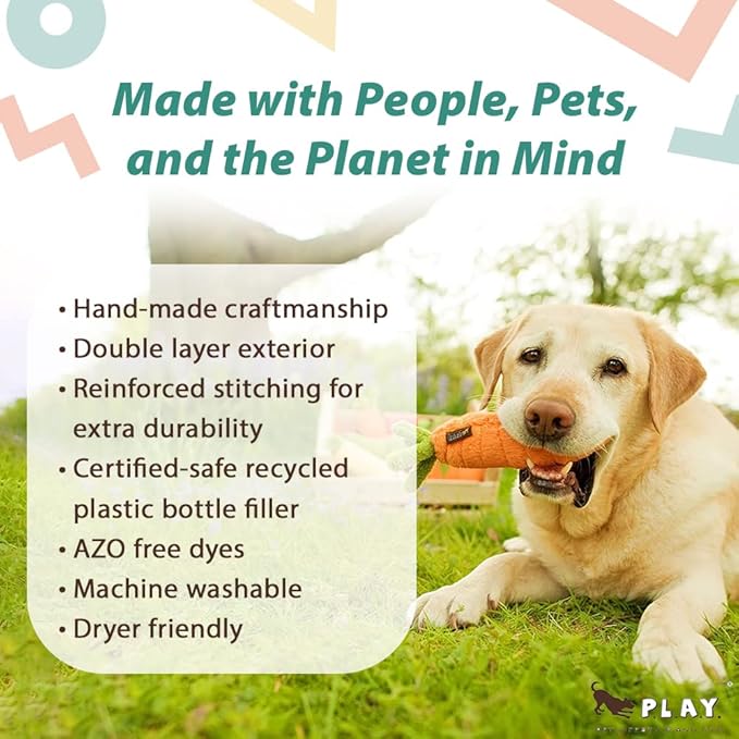 P.L.A.Y. Cute Plush Dog Toys - Fruit & Vegetable Themed Durable Squeaker Chew Toy, Great for Puppies & Small, Medium, Large Dogs - Machine Washable, Recycled Materials (Garden Fresh Carrot, X-Small)