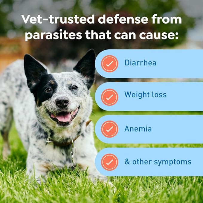 Interceptor Plus Prevention for Heartworm + 4 Other Worms for Dogs 25.1-50 lbs. | 1 Chew, 1-Month Supply