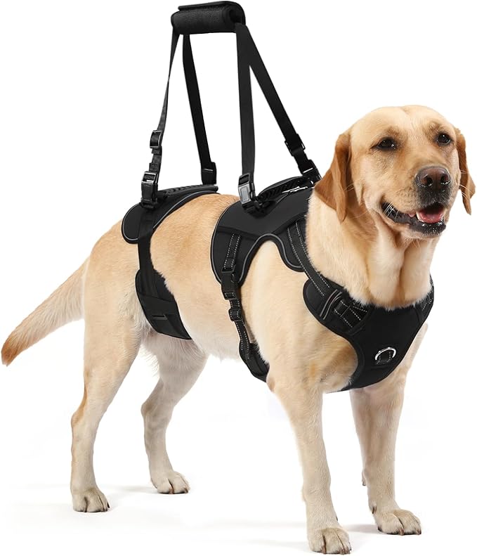 NOYAL Dog Lift Harness for Senior & Injured Pets – Full-Body Support Sling with Breathable Mesh, Front/Rear Leg Assist for Arthritis, Hip Dysplasia & Post-Surgery Recovery (Medium-Large Breeds)