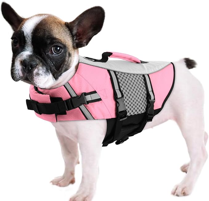 Queenmore Small Dog Life Jacket Swimming Vest Medium Dogs Boating Life Preserver Neoprene Lightweight Reflective Cat Puppy Kayaking Lifesaver for Yorkshire Terrier,Chihuahua,Teacup (Pink,XS)