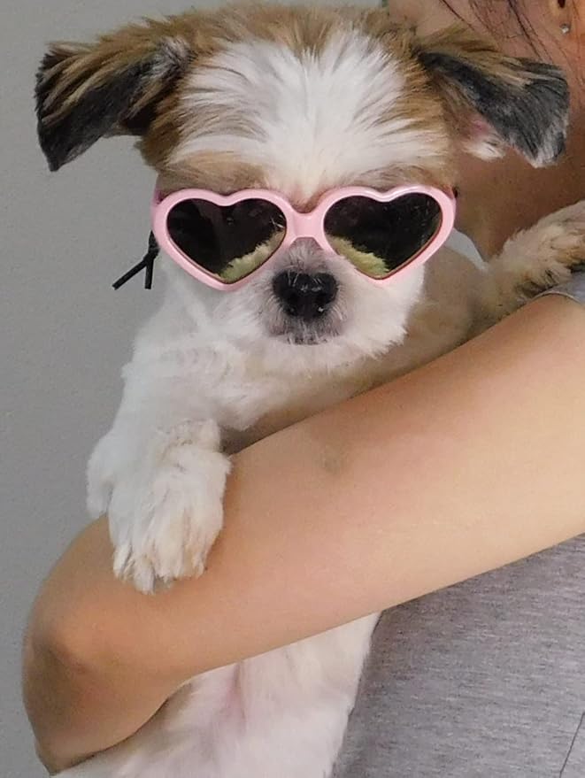 G016 Dog Cat Pet Heart Sunglasses Glasses for Small Breed up to 15lbs (Heart Pink-Pink Mirror)