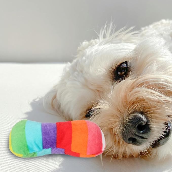 POPETPOP Durable Colorful Bone Dog Toy with Squeaker for Chewing and Teeth Grinding Plush Interactive Puppy and Dog Toy for Small Medium and Large Breeds