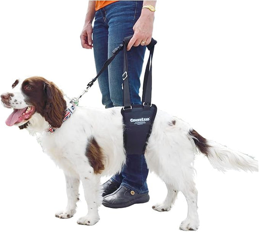 GINGERLEAD Dog Sling Hip Support Harness, SM Male fits Small to Medium Size Pets or Larger Barrel Chested Dogs Like Boxers or Bullies. Male Dachshunds use X-Small Size. Made in U.S.A.