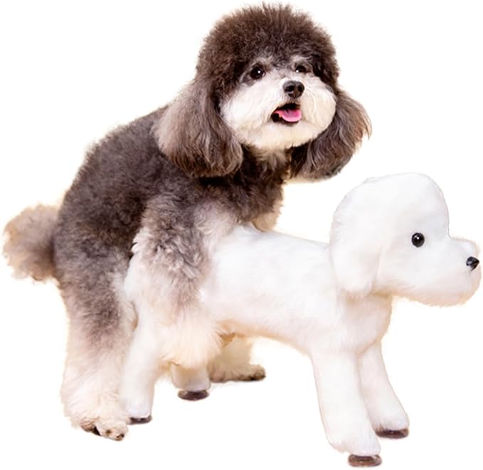 Male Dog Toy Silicone Simulation Humping Dog Toy, Pet Estrus Vent Puppy Toys for Male Estrus Dog Small Dogs Bulldog Teddy Dog, Pet Companion White 25cm/9.8in