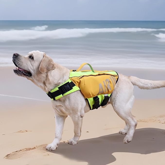Dog Life Jacket, Safe Swimming Vest for Small & Medium Dogs, Adjustable & Lightweight for Beach, Pool and Boating — A Practical Summer Gift for DogLovers Orange, Size B