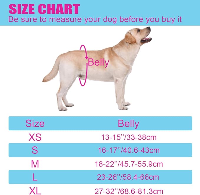 Dog Panties for Dogs in Heat, Reusable Female Dog Pants to Prevent Cross-Tailing. Washable Dog Underwear to Protect Female Dogs from Male Dogs (XS, Black)