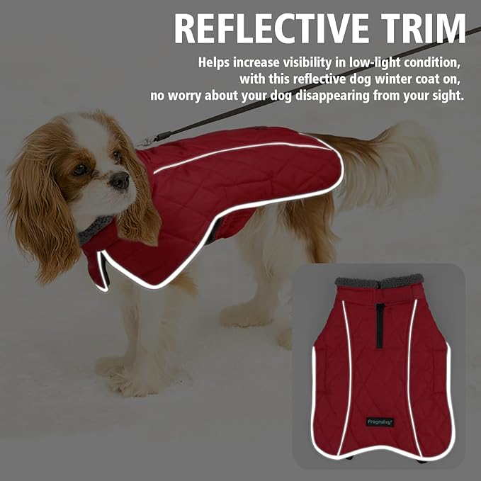 Fragralley Dog Coat Large, Waterproof Dog Jacket with Warm Fleece Lining, Adjustable Reflective Dogs Winter Coat, Turtleneck Pet Coats for Cold Weather (Red XXL)
