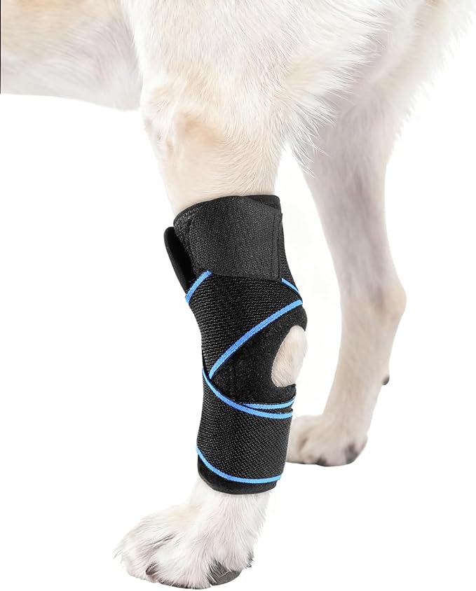 Dog Knee Brace for ACL Tear, Arthritis, Patella Luxation & Post-Surgery Support - Breathable, Adjustable Canine Leg Brace for Pain Relief & Mobility, for Medium & Large Dogs(L)