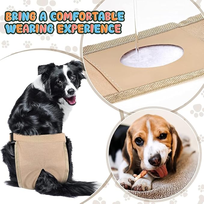 Dog Sanitary Panties Female, (Reusable 2PCS Dog Pants with 6 Pcs Diaper), Breathable Mesh Washable Dogs Sanitary Pads(Gray+Black 2XL)