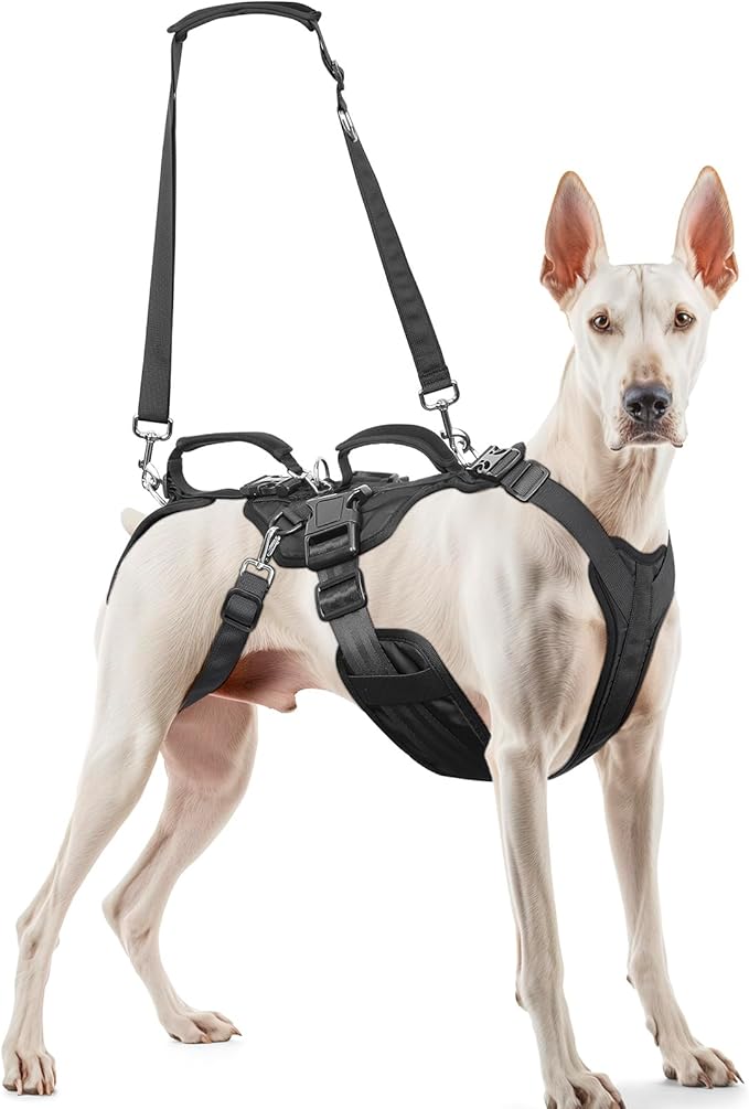 Dog Lift Harness for Large/Medium Dogs, Dog Support & Recovery Sling for Full-Body & Hind/Front Leg – Pee-Able Design – All-in-One Ideal Assistance for Senior, Disabled, Arthritic & ACL Canines (M)