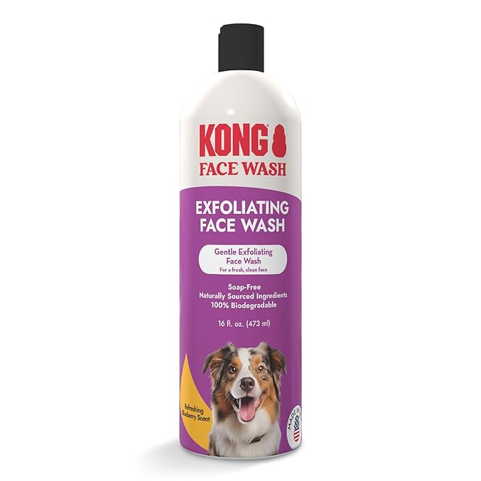 Kong Exfoliating Face Wash for Dogs – Gentle Cleanser, Removes Tear Stains & Odors, Blueberry Scent, 16 fl oz – Biodegradable, Hypoallergenic, Soap-Free, Cruelty-Free, for Sensitive Skin, Made in USA